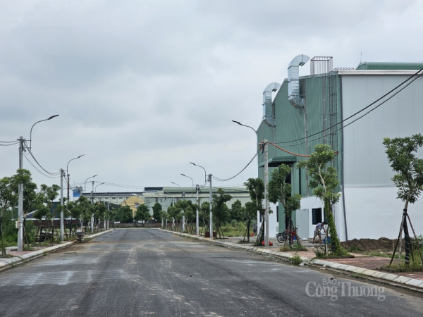 Garantizar el progreso y la calidad en la implementación del proyecto del Clúster Industrial de Thanh Da