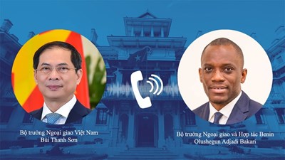 Strengthening Vietnam - Benin cooperation