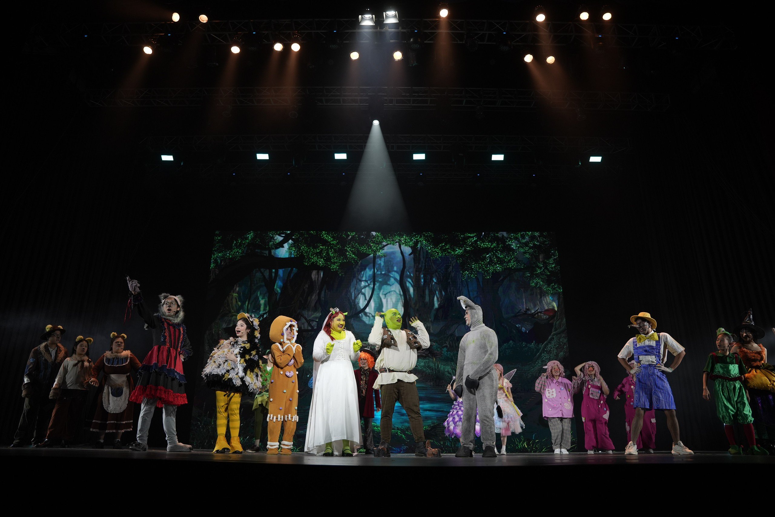 'Shrek:The Musical' hớp hồn khán giả, bùng nổ sân khấu phương Nam ngay đêm diễn đầu tiên- Ảnh 3.