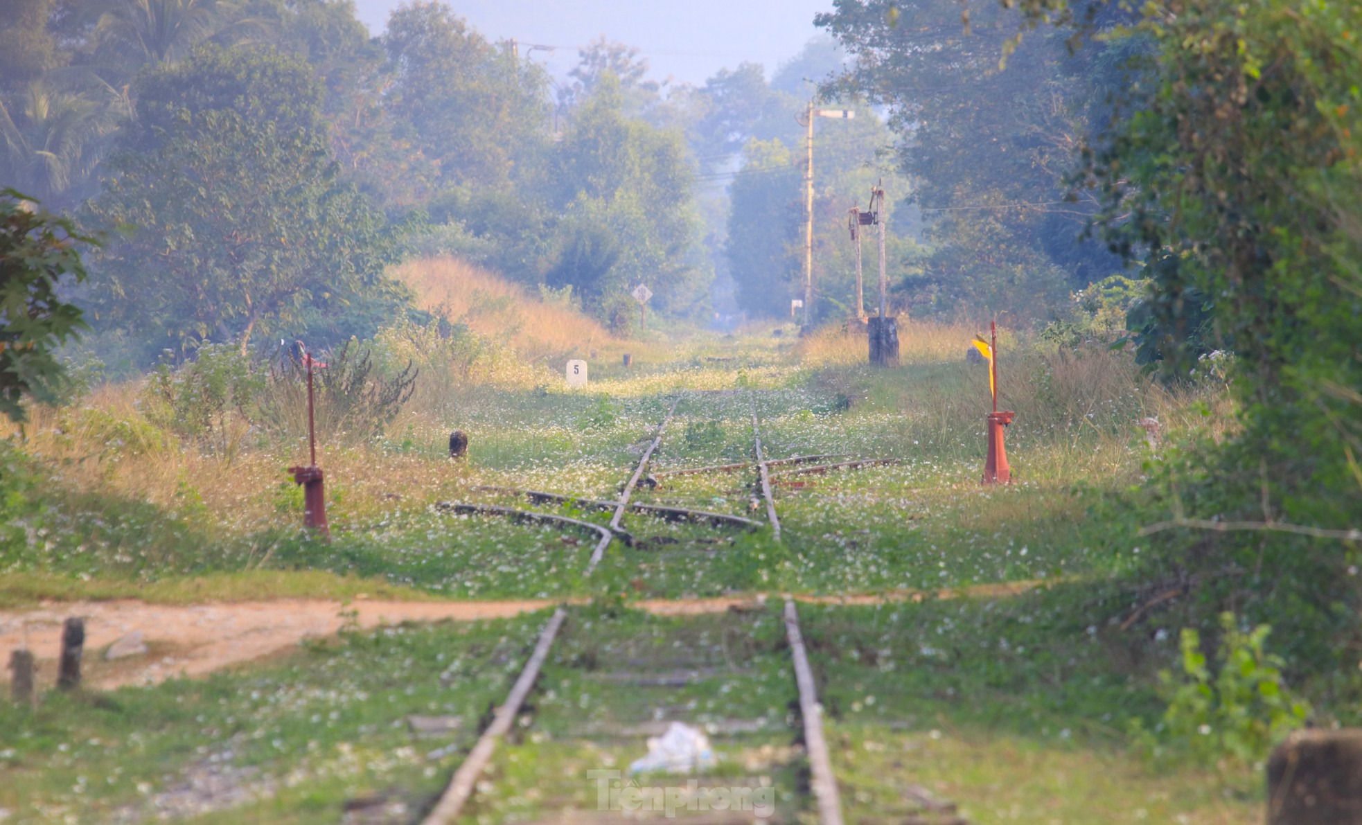 The desolation of the 'abandoned' railway line in Nghe An photo 4