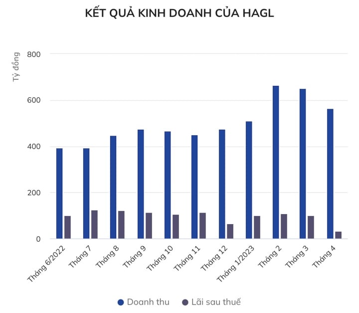 Pig prices drop, Hoang Anh Gia Lai's profits hit rock bottom - 1