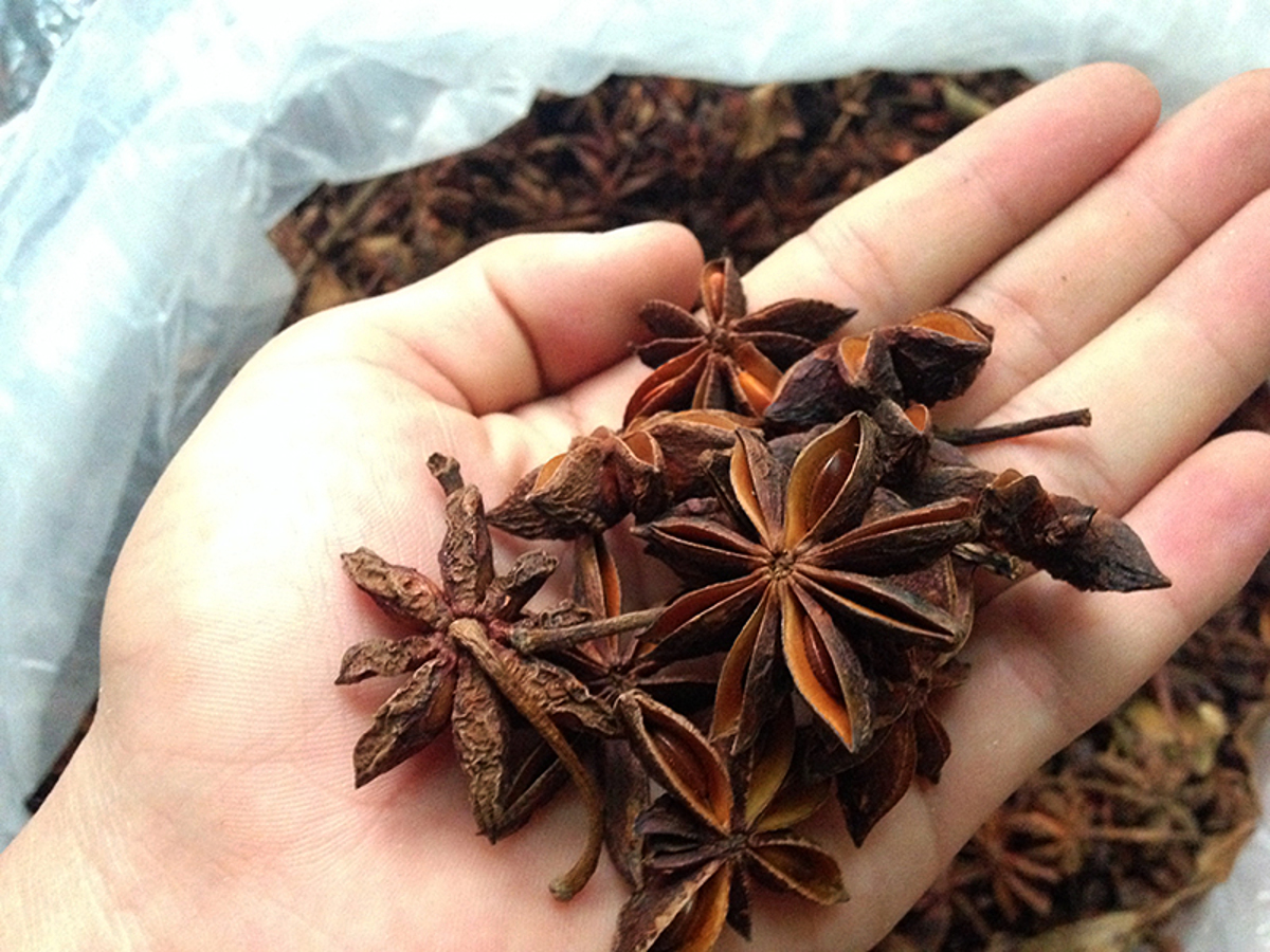 Star anise spice exports increase dramatically