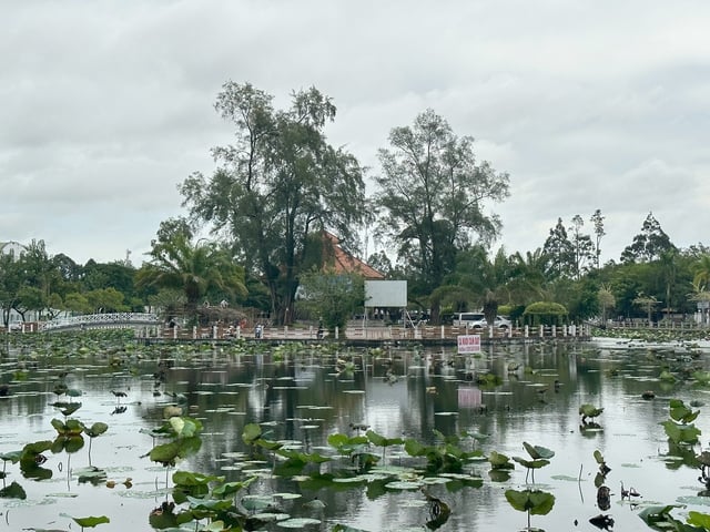 Đến Festival áo bà ba Hậu Giang thưởng lãm áo dệt từ sợi tơ khóm Cầu Đúc - Ảnh 4.