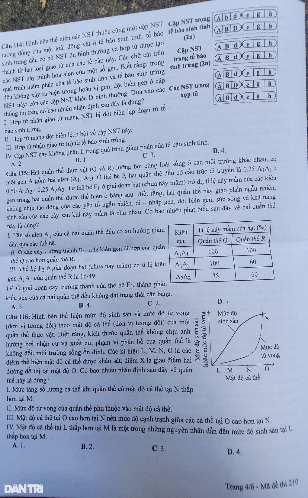 Cập nhật đề thi vật lý, hóa học, sinh học kỳ thi tốt nghiệp THPT - 8