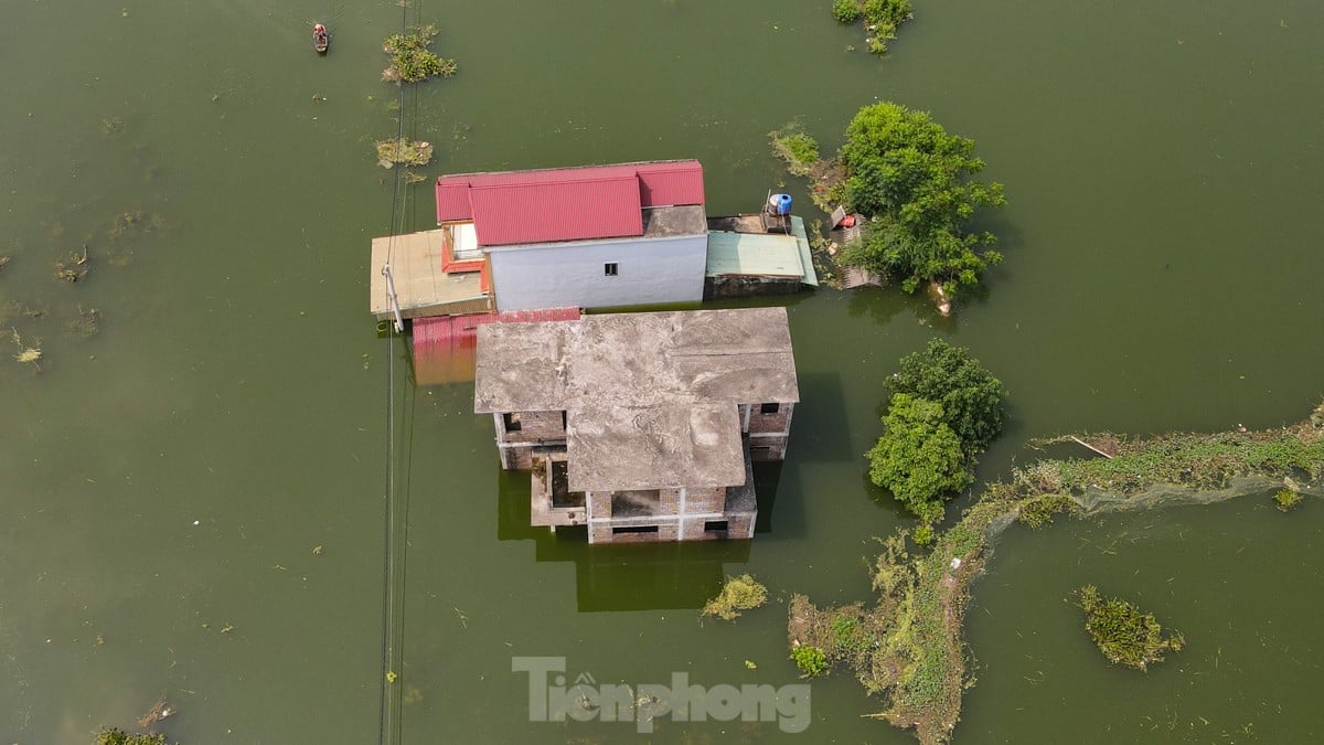 Une « inondation forestière » submerge des centaines de maisons dans la banlieue de Hanoi, photo 3