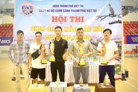 Hơn 100 chim chào mào tham gia đấu hót