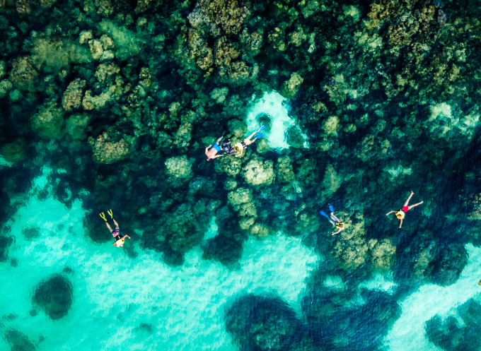ホン・トムでのサンゴ観察。写真: DL Phu Quoc