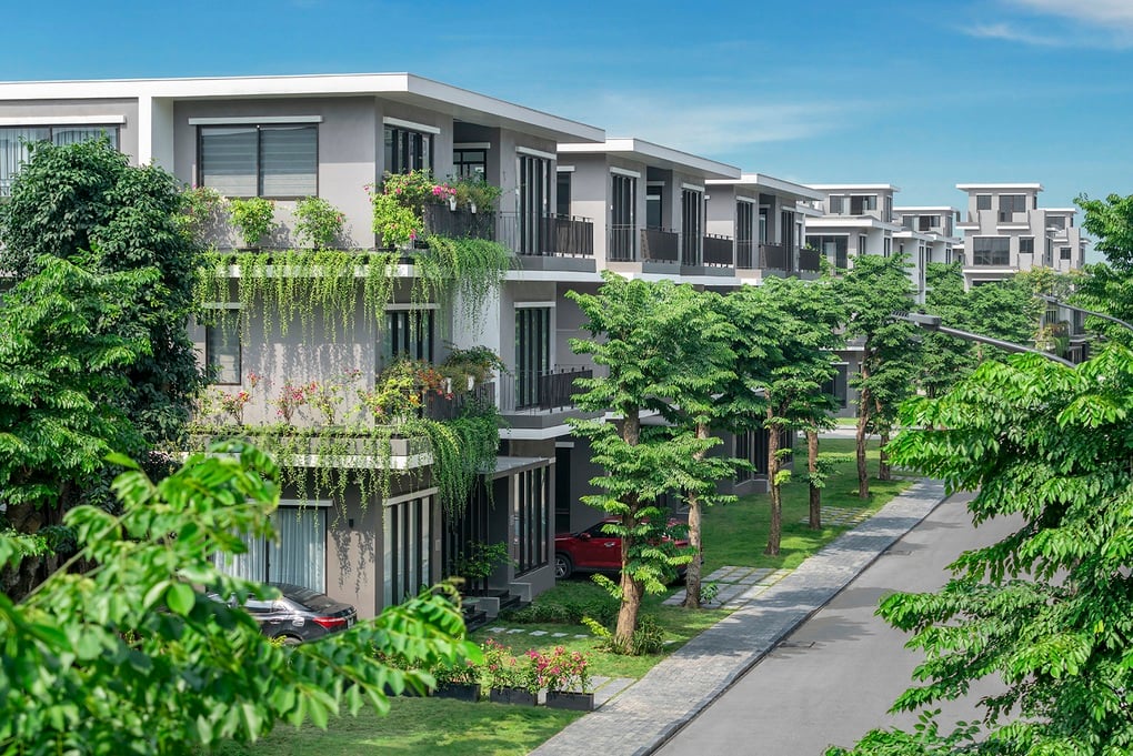 Những cư dân đầu tiên Eco Central Park nhận sổ đỏ - 2