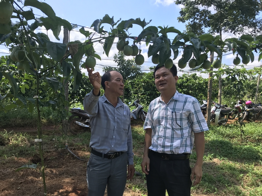 More than 2.1 billion VND to develop agricultural extension models photo 1