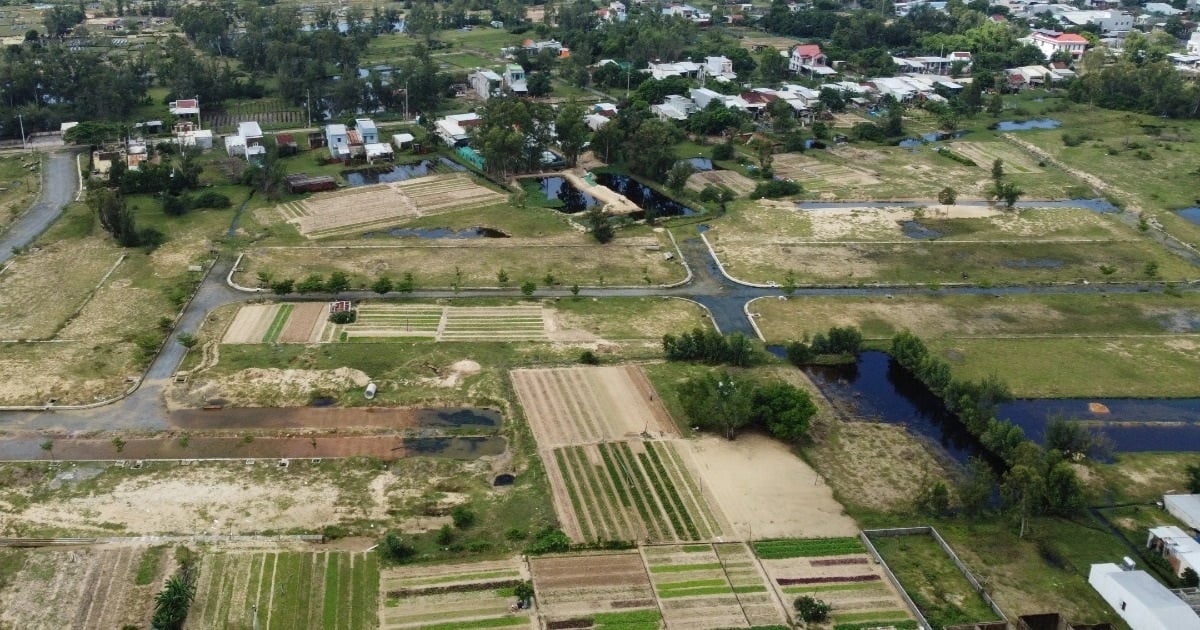 ករណី​បំណុល​សៀវភៅ​ក្រហម​១០០០​ក្បាល​៖ សុំ​ព័ត៌មាន​ផ្សាយ​ជា​សាធារណៈ​ឲ្យ​ប្រជាពលរដ្ឋ​បាន​ដឹង