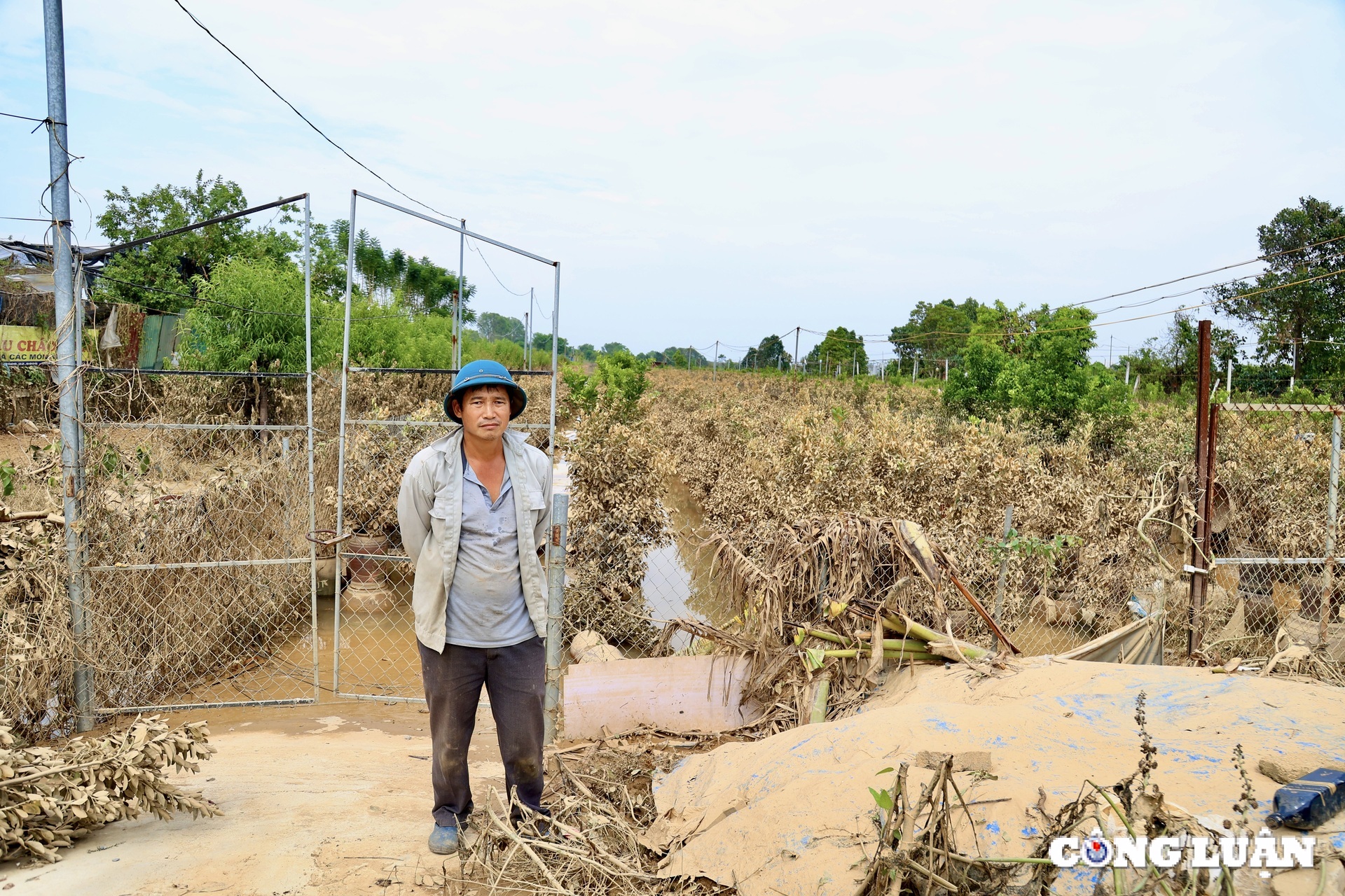 nguoi dan trong quat tu lien tat bat khoi phuc lai nhung thiet hai sau bao lu hinh 11