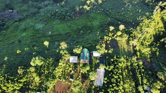 Nhóm bạn trẻ mở mô hình homestay giữa khu sản xuất dược liệu ảnh 8 Nhóm bạn trẻ mở mô hình homestay giữa khu sản xuất dược liệu ảnh 8