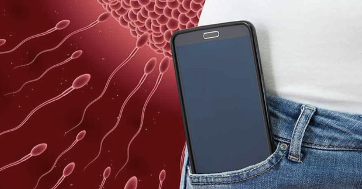 Does keeping your phone in your pocket cause infertility?