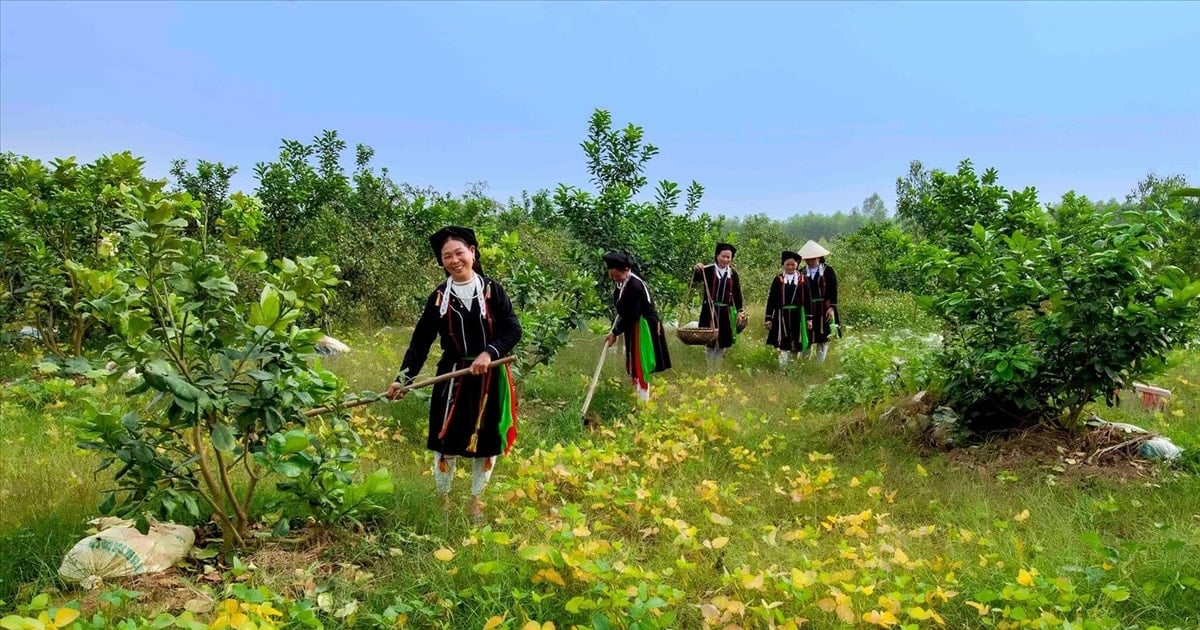 Hỗ trợ đất ở, đất sản xuất cho đồng bào dân tộc thiểu số