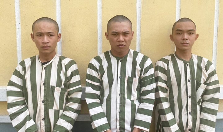 Nguyen Vi Khang, Nguyen Van Nen et Le Vo Truc Kha à l'agence d'enquête. (Photo : Ben Cat Police)