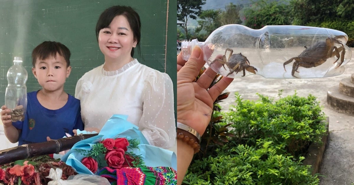 산간지방의 한 교사가 게 두 마리를 선물로 주었고, 학생들은 교사에게 "게처럼 빨리 기어가라"고 빌었습니다.