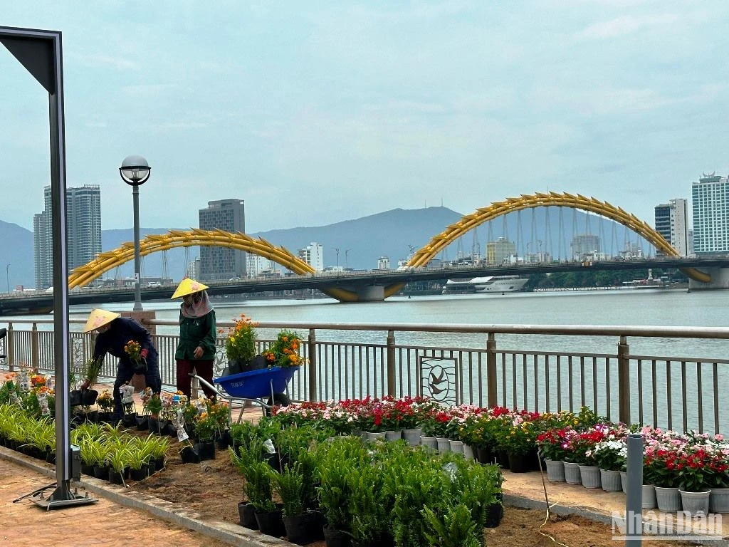 Da Nang urgently completes items to put night tourism products into exploitation photo 3