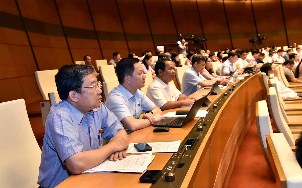 ĐBQH Nguyễn Thị Lan (Hà Nội): Chủ động tham gia thị trường tín chỉ carbon giúp nông nghiệp vượt thách thức -0
