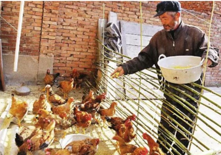 El anciano cogió una jarra de cerámica y la llevó a casa para 'hacer un cuenco para que comieran las gallinas', pero resultó ser un tesoro invaluable - 1