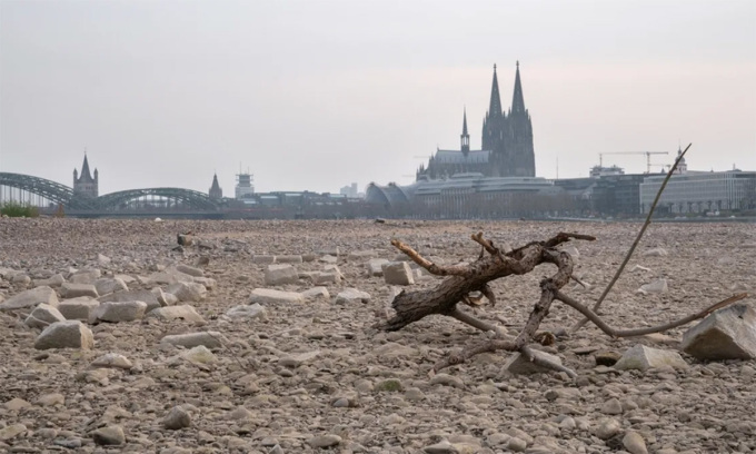 Hạn hán tấn công sông Rhine gần thành phố Cologne, Đức. Ảnh: alfotokunst/Shutterstock