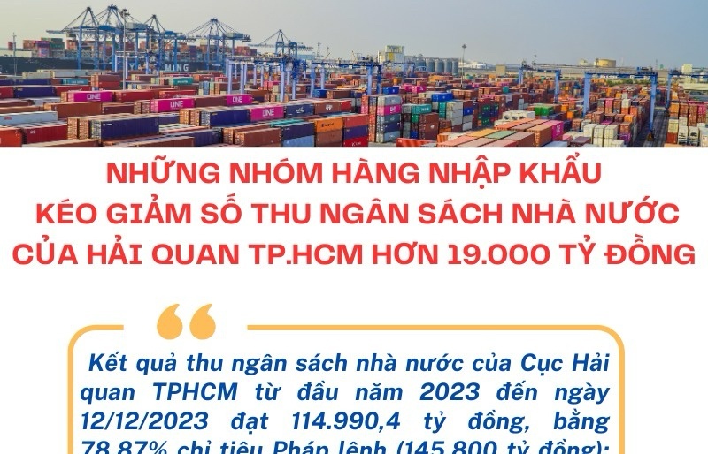 INFOGRAPHIE : Les groupes de marchandises importées réduisent les recettes budgétaires des douanes de Hô Chi Minh-Ville