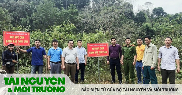 Giấc mơ bên dòng Nậm Cướm