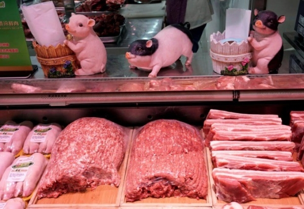 El precio del cerdo vivo en Vietnam es 4.000 VND/kg más alto que el de China.