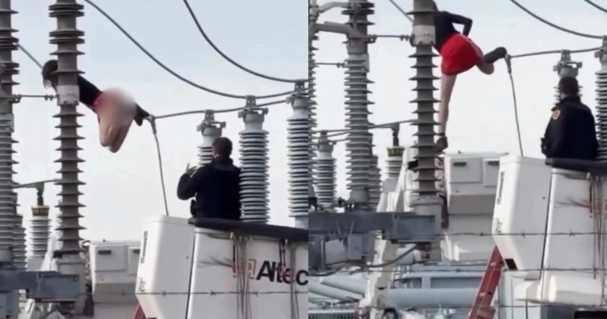 Girl climbs electric pole screaming and tumbling, causing 800 households to lose power