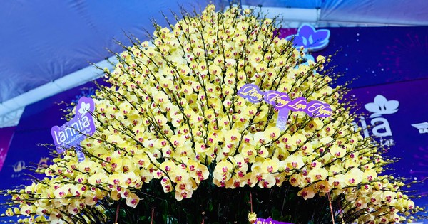 Close-up of a gold-plated, diamond-studded orchid pot for sale for nearly 4 billion VND