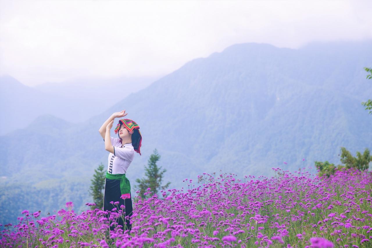 The enchanting fields of Ma Tien Thao are a new highlight in Fansipan, alongside a series of impressive and unique experiences of the Northwest.