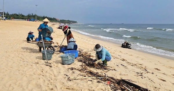 Schwimmender Müll liegt verstreut am Strand von Quang Binh, die Behörden sammeln ihn gründlich ein