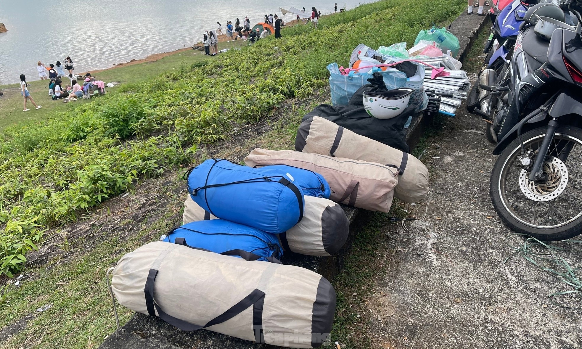 Les jeunes se rassemblent pour prendre des photos à côté de « l'arbre solitaire » à Quang Nam, photo 18