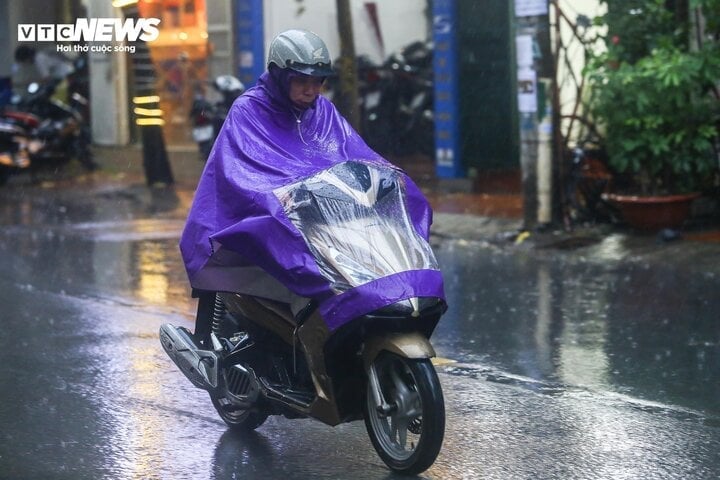 De Ha Tinh à Quang Ngai, dans la nuit du 4 décembre et du 6 au 7 décembre, il y aura des pluies et des averses éparses. (Illustration : Ngo Nhung)