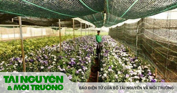 Hướng tới giảm nghèo bền vững