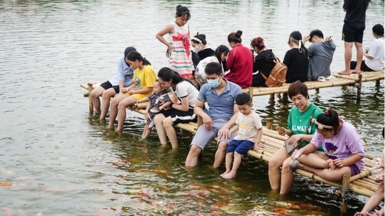 គយគន់ស្រះត្រី Koi ទំហំ ៣.៥ ហិចតា នៅកណ្តាលទីក្រុងហាណូយ រូបថត ៣