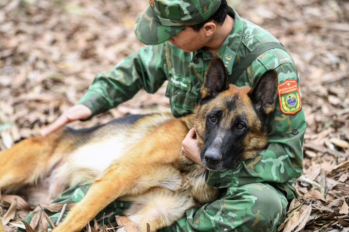 ボーダーガード中学校24での訓練中に休憩する介助犬と訓練士たち。写真: ジャン・フイ