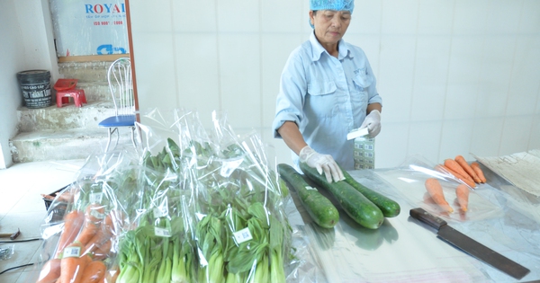 Nam Dinh farmers use a special technique guided by Japanese experts to clean the land of pests and weeds.