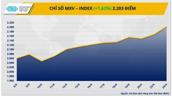 Los precios del maíz y del trigo se debilitaron