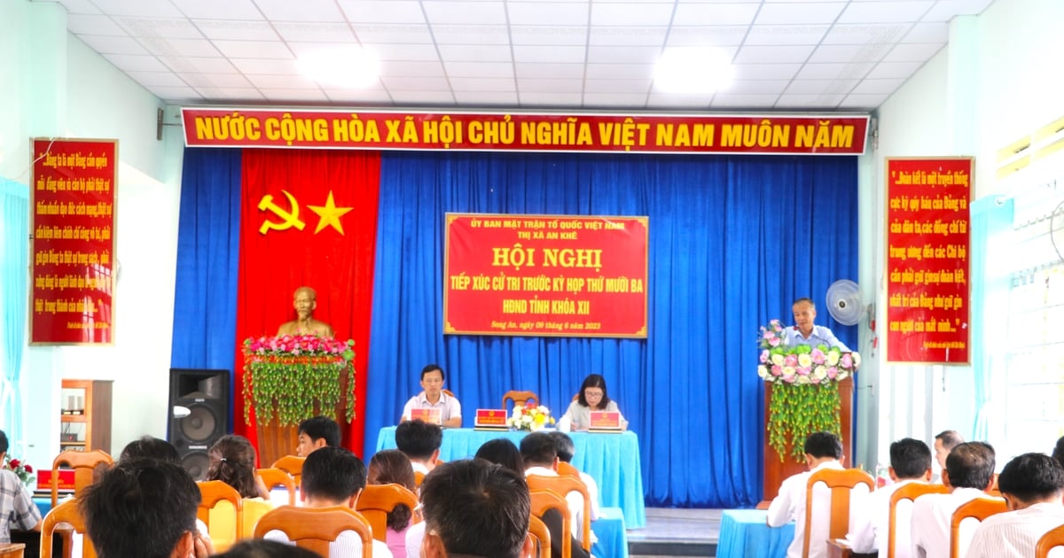 Cử tri Song An đề nghị chính quyền địa phương quan tâm phát triển du lịch sinh thái tại đầu đèo An K | Báo Gia Lai điện tử