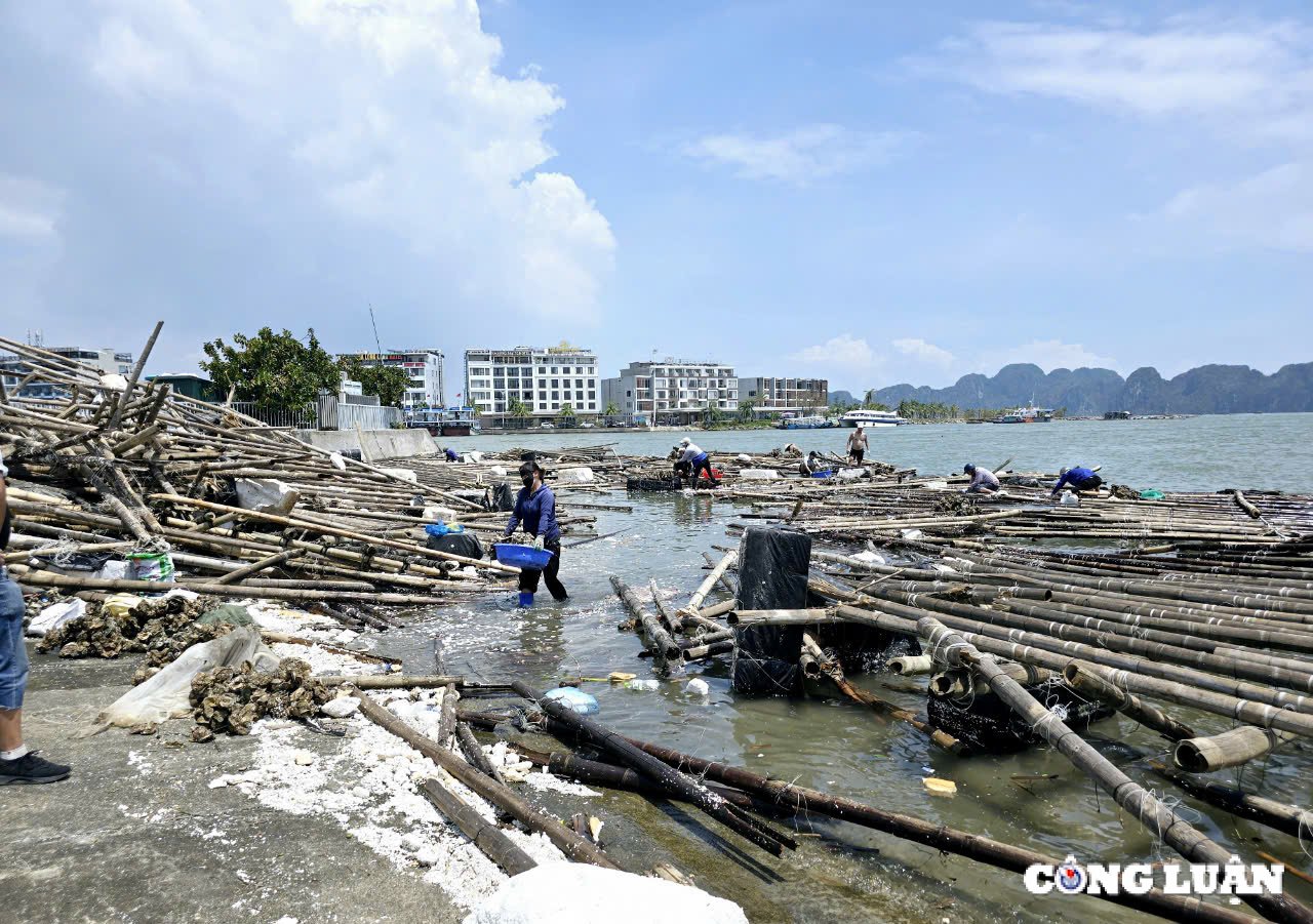 bo tai chinh de xuat giam tien thue dat sau bao yagi hinh 1