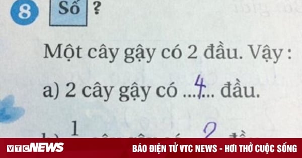 Phép tính 'xoắn não': Một cây gậy có 2 đầu, nửa cây gậy có mấy đầu?