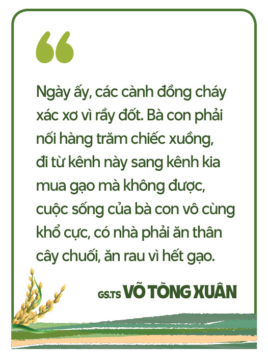 Hạnh phúc khi thấy nụ cười của nông dân sau mỗi vụ lúa trúng mùa được giá- Ảnh 4.