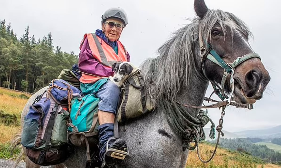 82歳の女性は50年以上乗馬を続けている