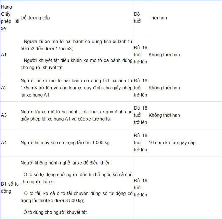 Age, driving license regulations and procedures you need to know image 2