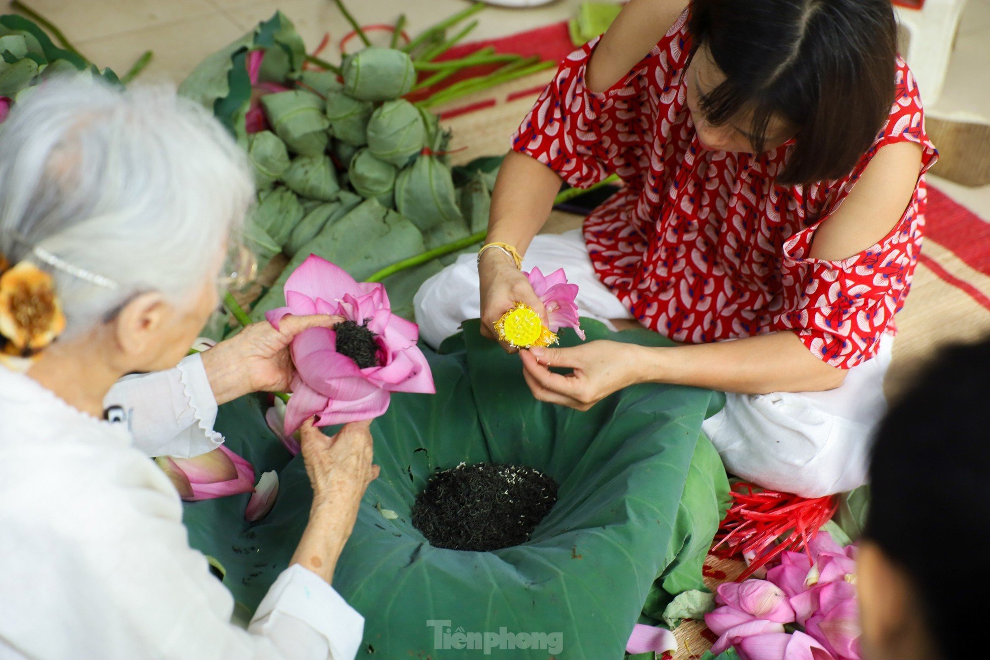 Unique art of lotus tea brewing - Cultural beauty of Hanoi people photo 7