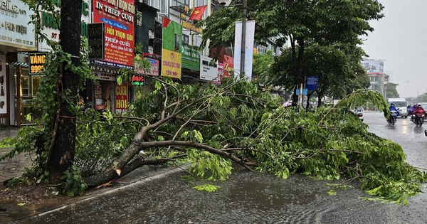 Starker Regen und Wind am Mittag, viele Bäume fielen auf der Hauptstraße in Hanoi