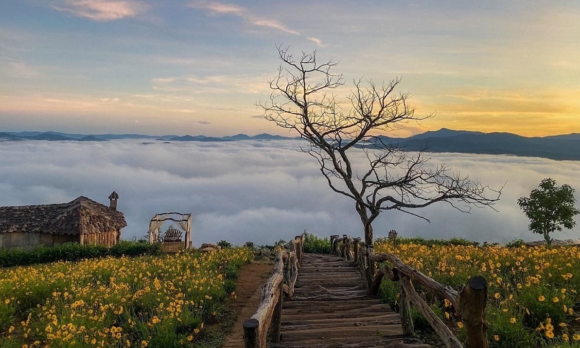 Die 5 romantischsten Herbstziele in Vietnam