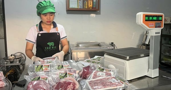 “Cuộc thi Phụ nữ khởi nghiệp giúp tôi đi nhanh hơn, xa hơn”