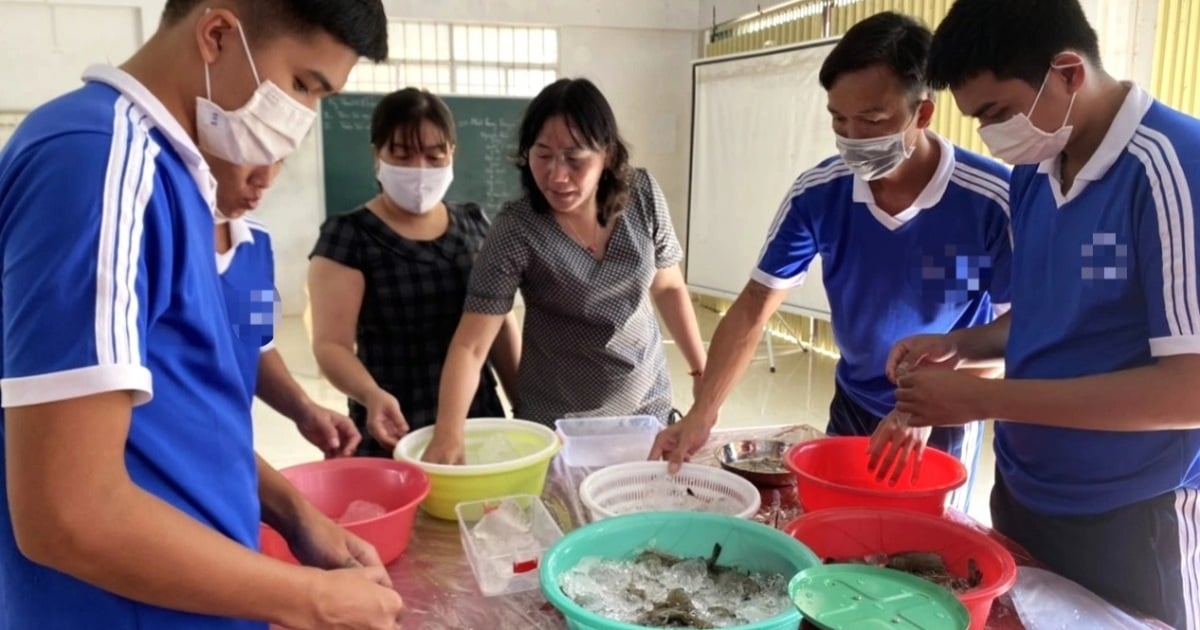 Ca Mau : D’ici 2030, 28 000 personnes seront formées et bénéficieront d’une formation professionnelle chaque année.