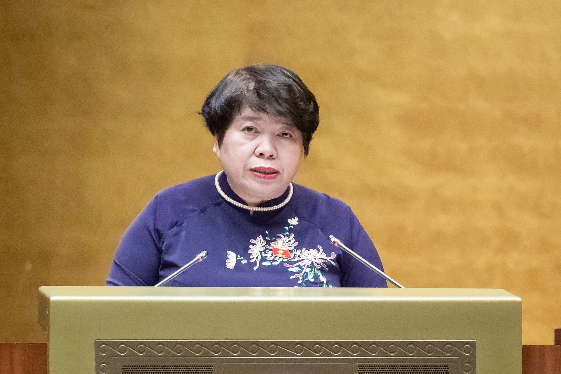 Frau Nguyen Thuy Anh berichtet der Nationalversammlung (Foto: Quang Vinh)